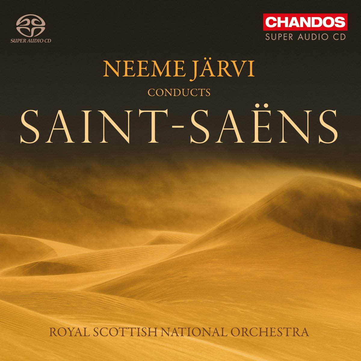 Neeme Jarvie Conducts Saint-Saens book cover