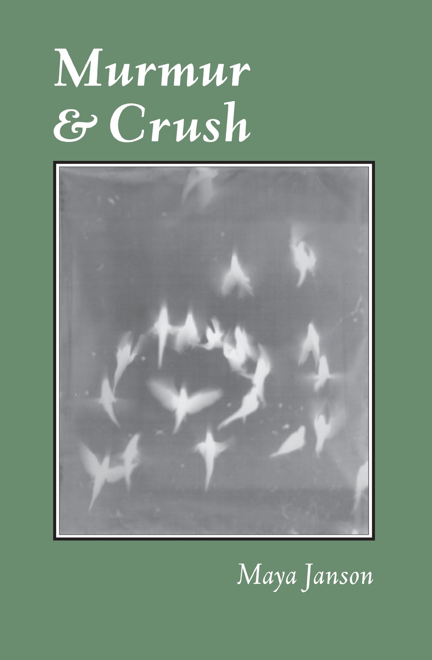 Murmur and Crush book cover