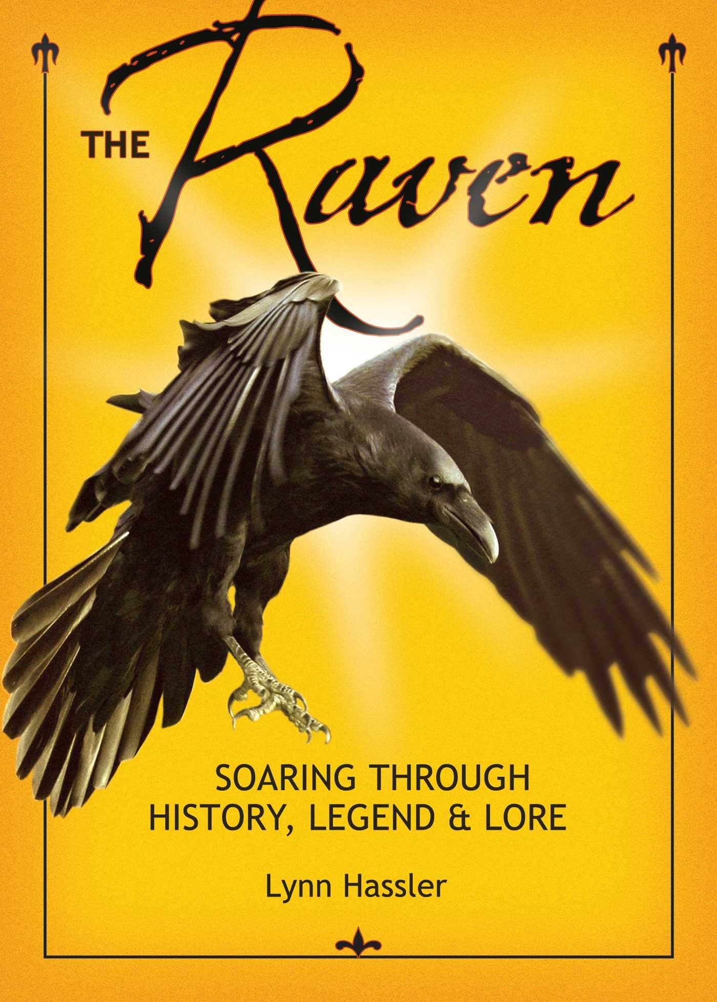 Raven: Soaring Through History book cover