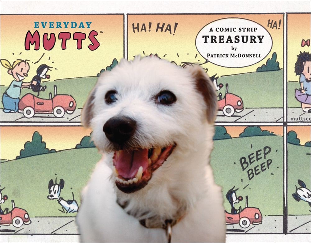 Everyday Mutts: A Comic Strip Treasury Volume 15 book cover