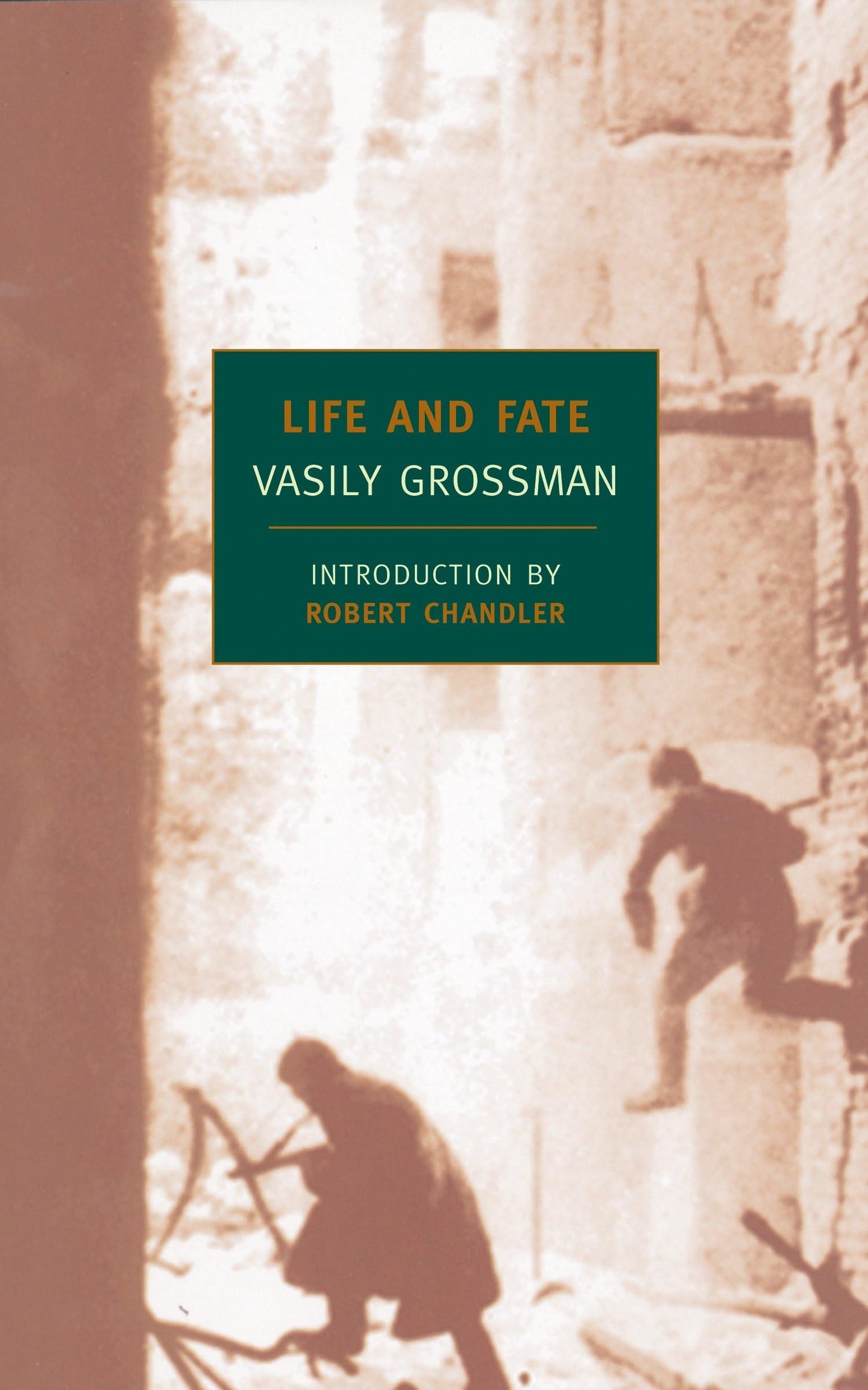 Life and Fate book cover