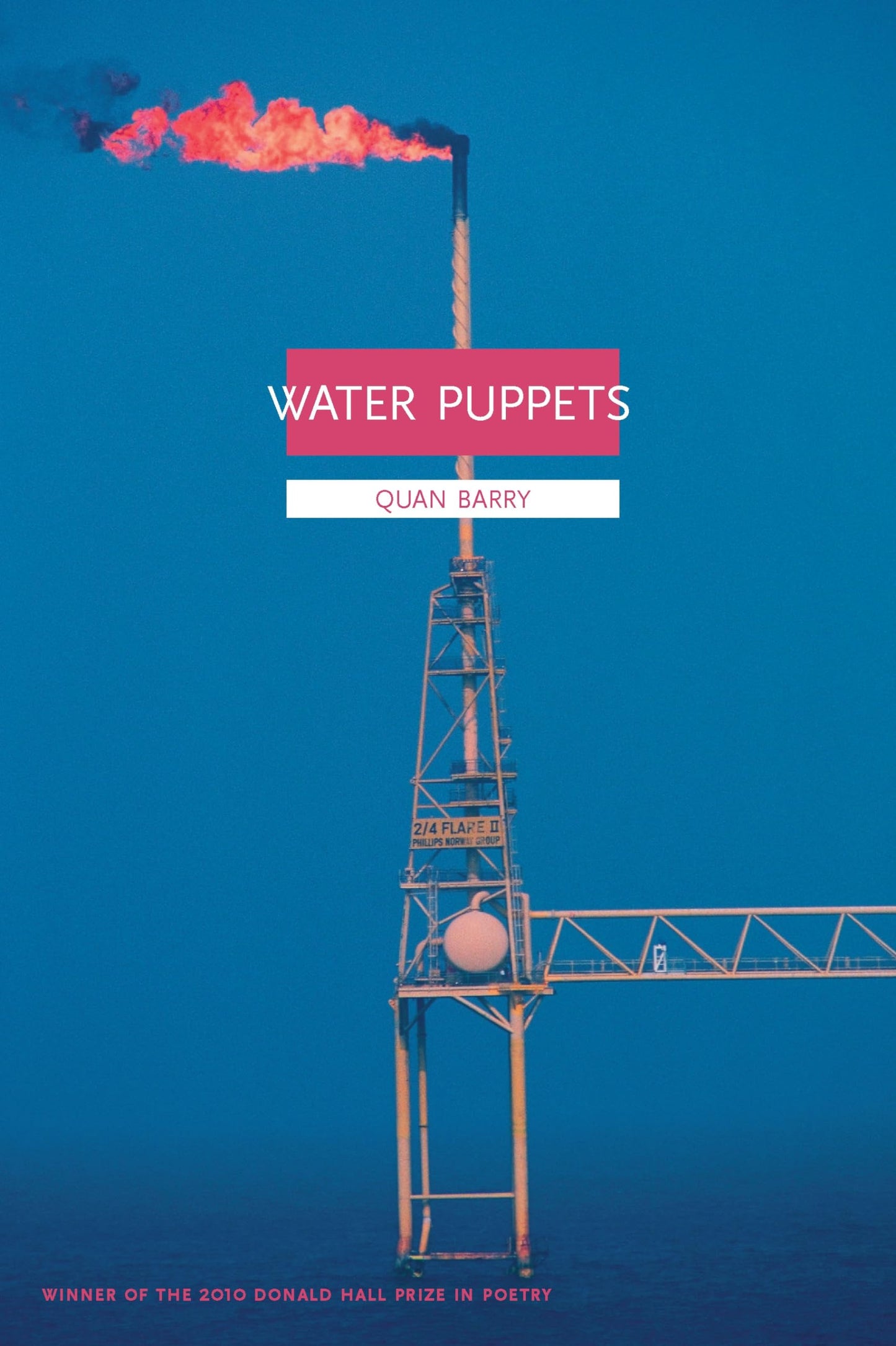 Water Puppets book cover