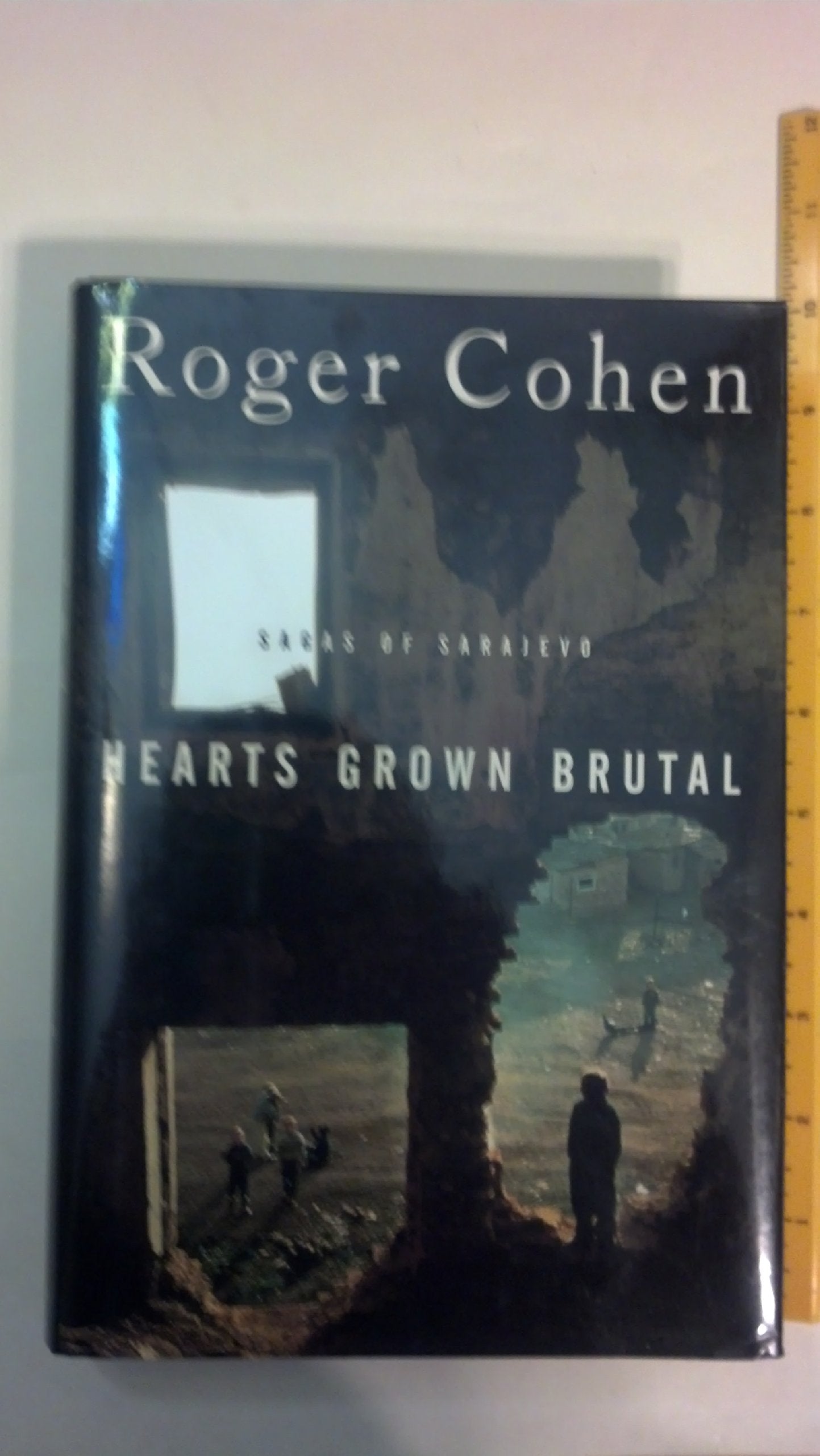 Hearts Grown Brutal:: Sagas of Sarajevo book cover