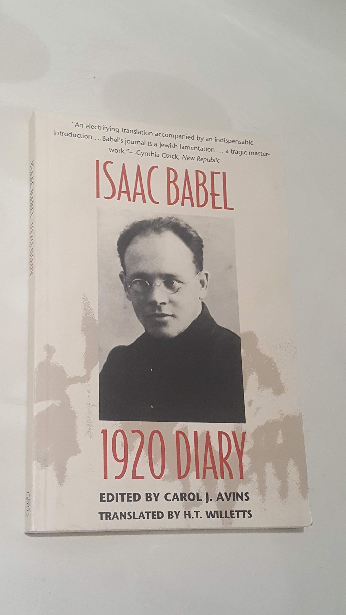 1920 Diary book cover