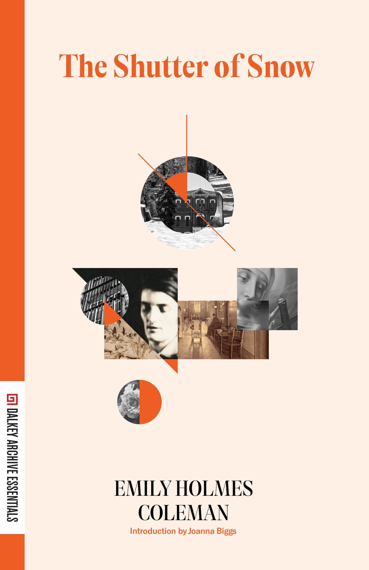 Shutter of Snow book cover