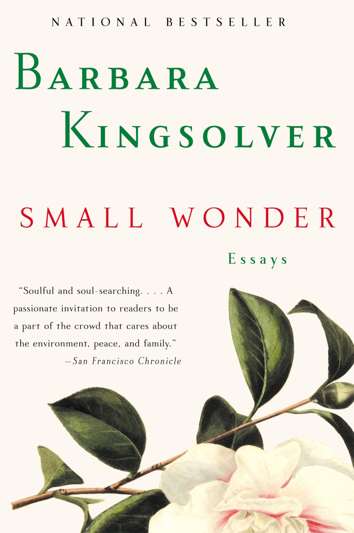 Small Wonder: Essays book cover
