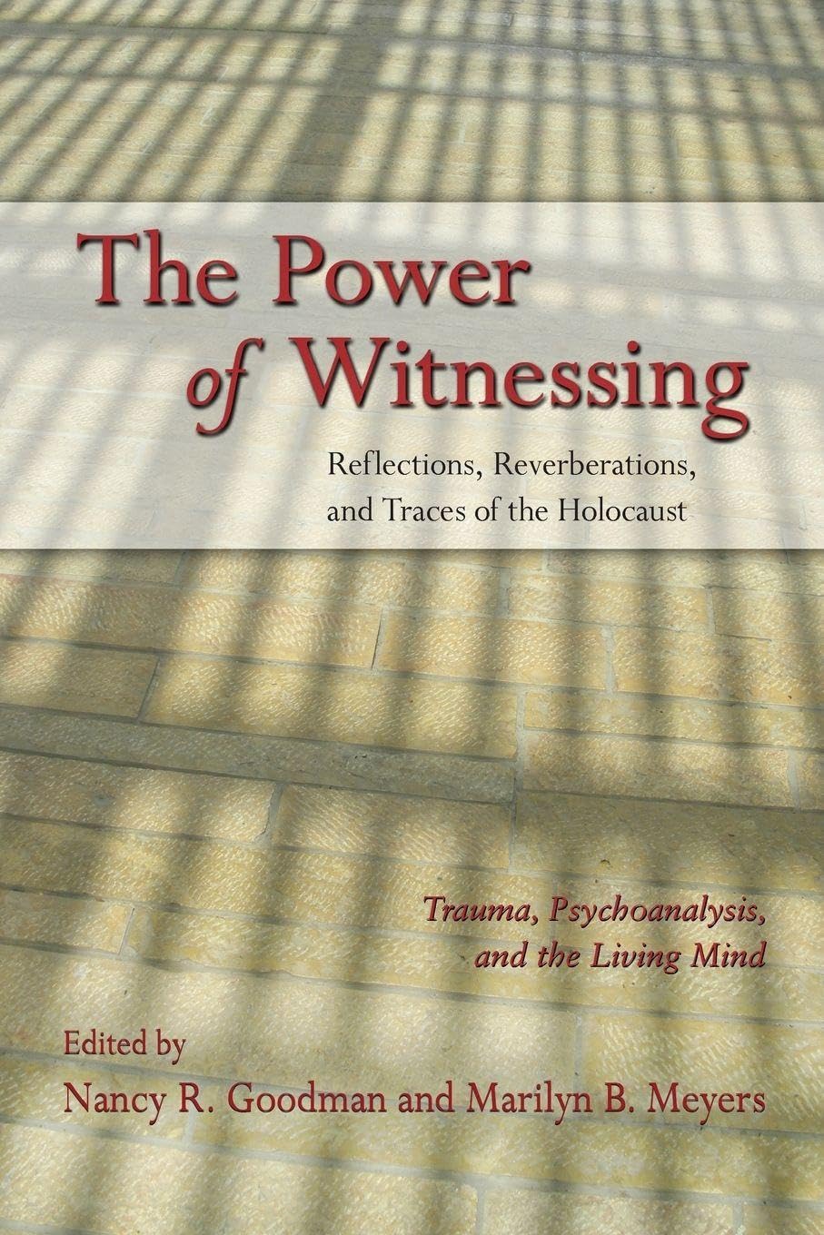 Power of Witnessing: Reflections, Reverberations, and Traces of the Holocaust: Trauma, Psychoanalysis, and the Living Mind book cover