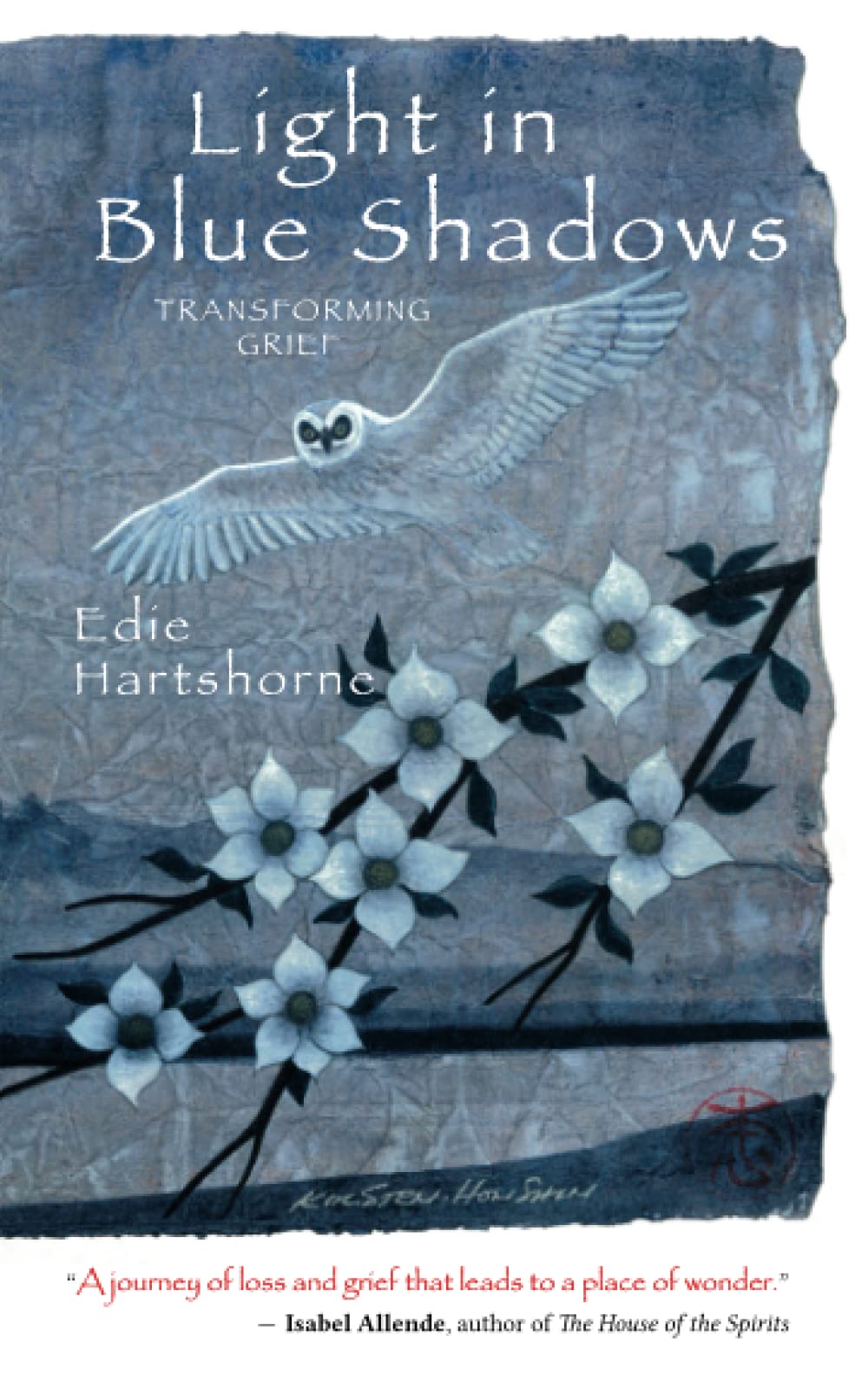 Light in Blue Shadows book cover