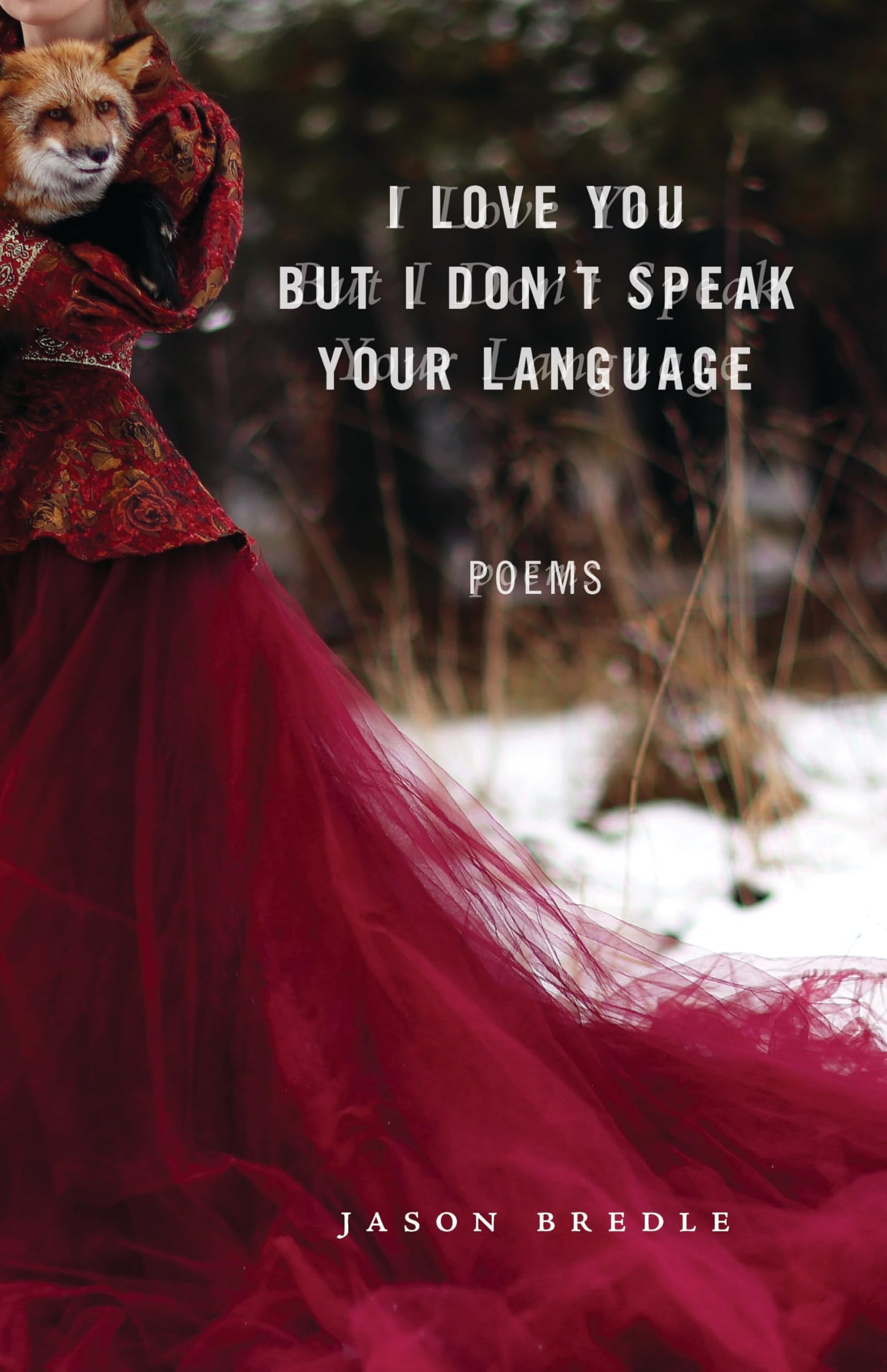 I Love You But I Don't Speak Your Language book cover