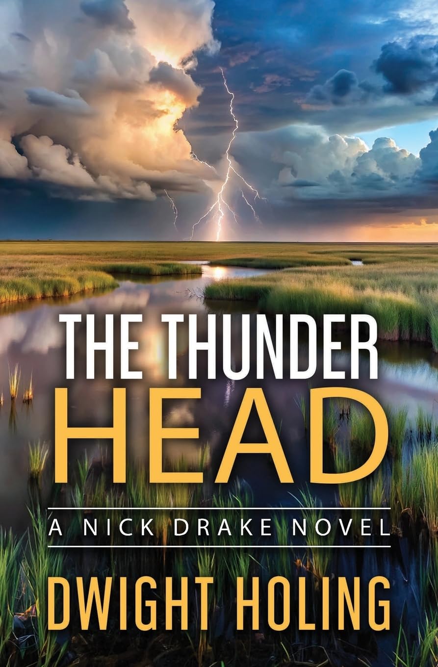 Thunder Head book cover