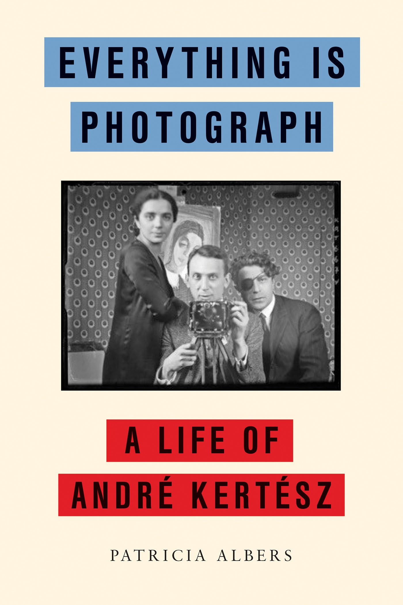 Everything Is Photograph book cover