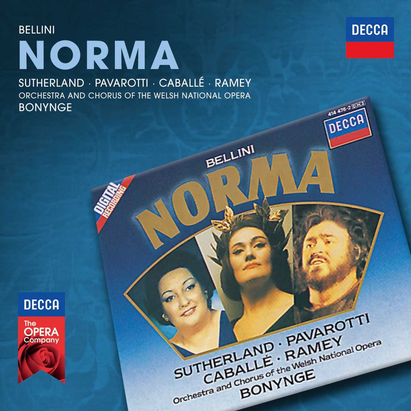 Norma book cover