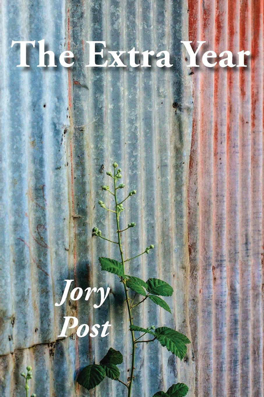 Extra Year book cover