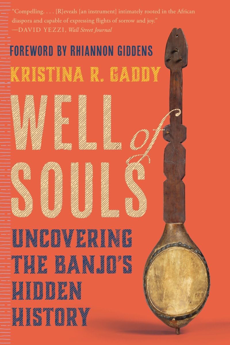 Well of Souls: Uncovering the Banjo's Hidden History book cover