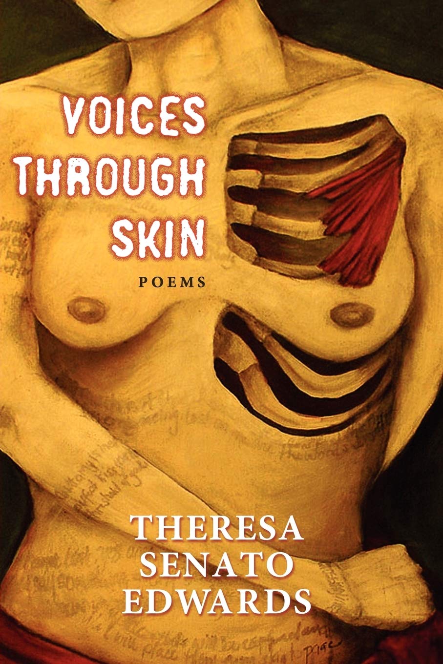 Voices Through Skin book cover