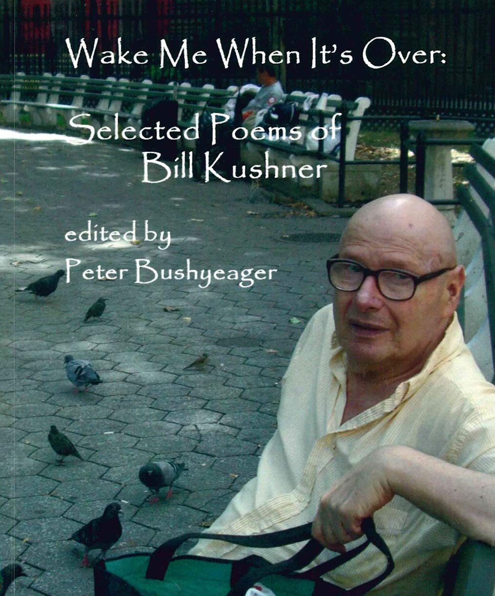 Wake Me When It's Over: Selected Poems book cover