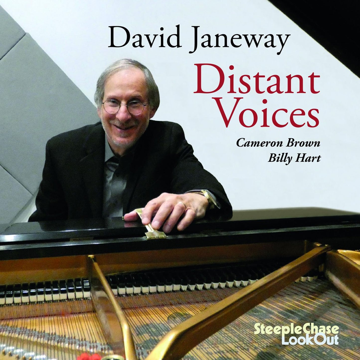 Distant Voices (UK) book cover