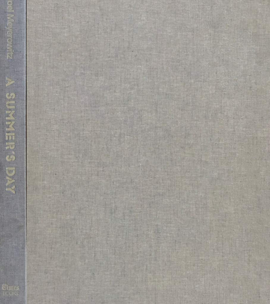 Summer's Day book cover
