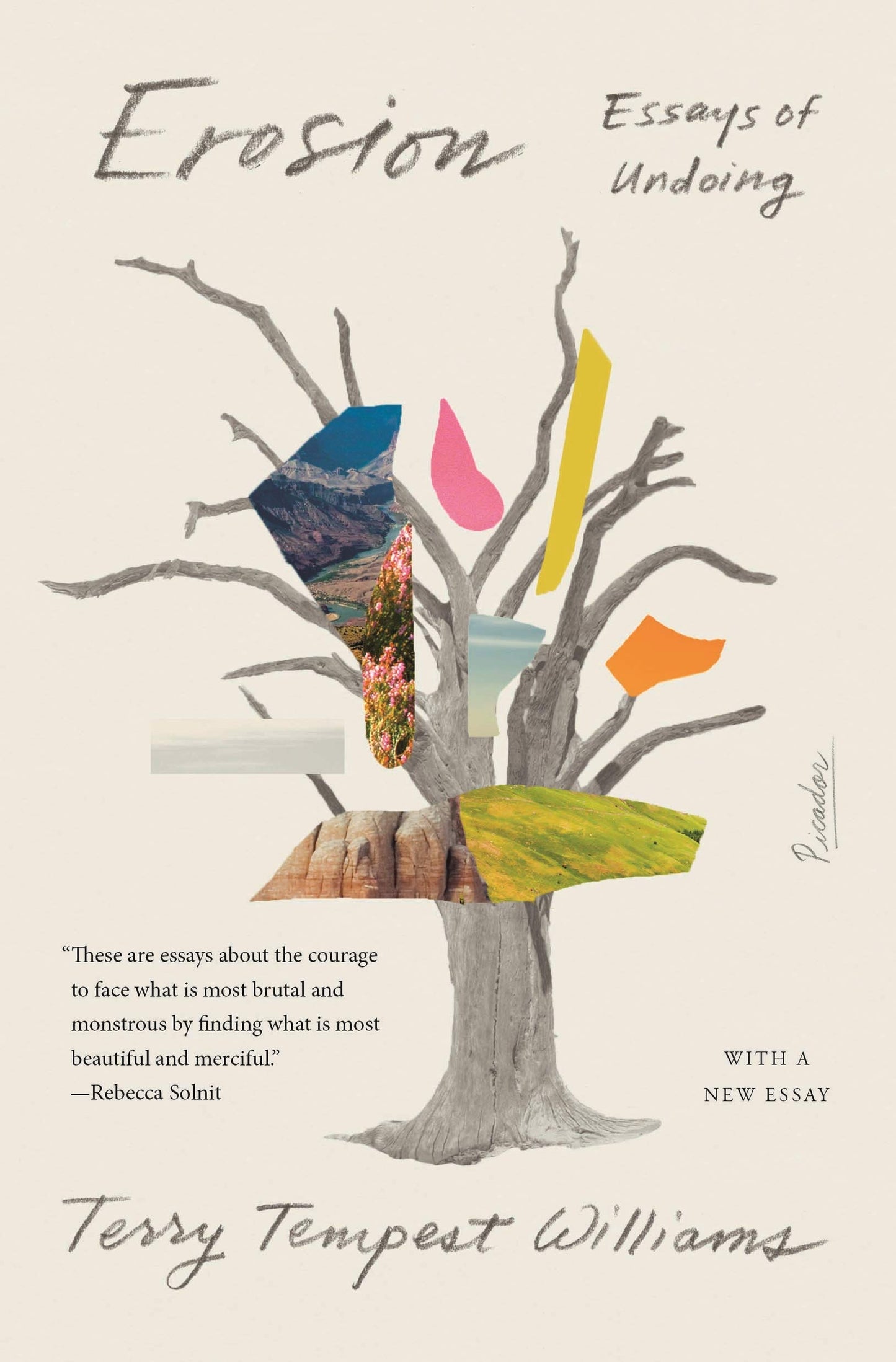 Erosion: Essays of Undoing book cover