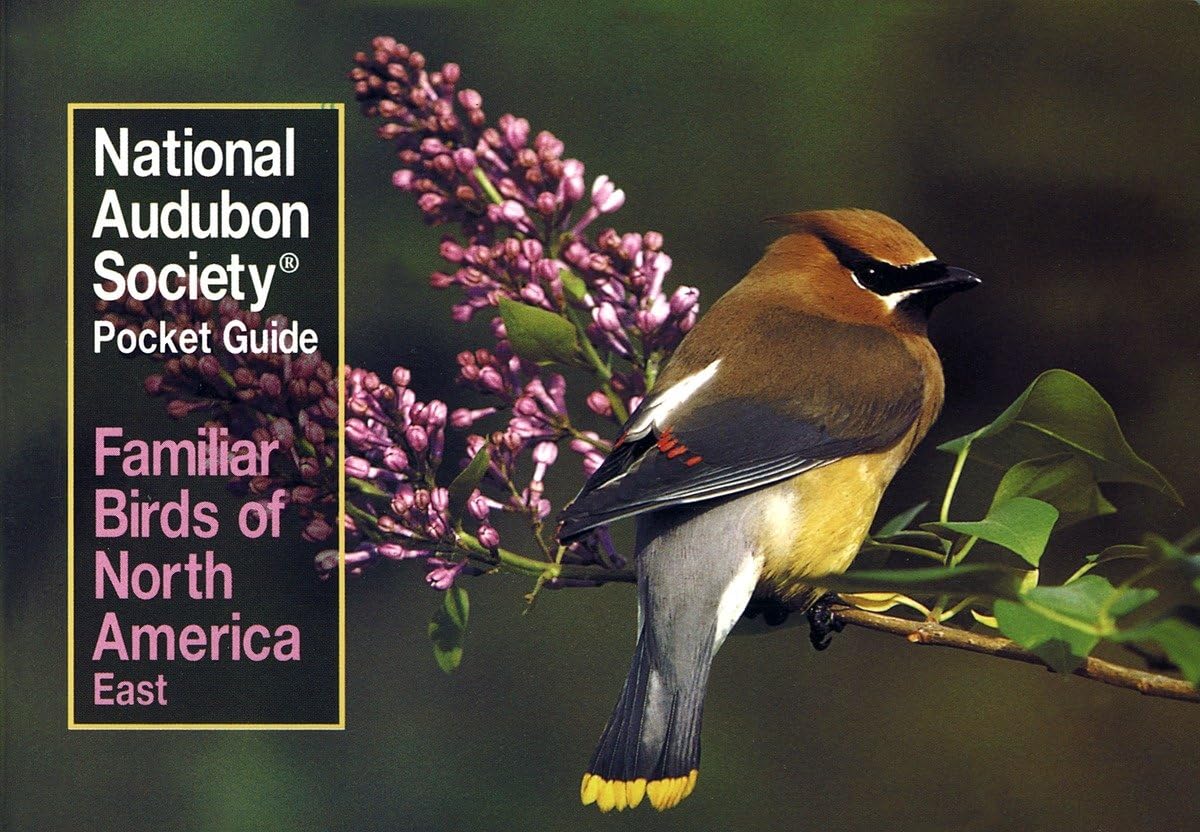 National Audubon Society Pocket Guide to Familiar Birds: Eastern Region: Eastern book cover
