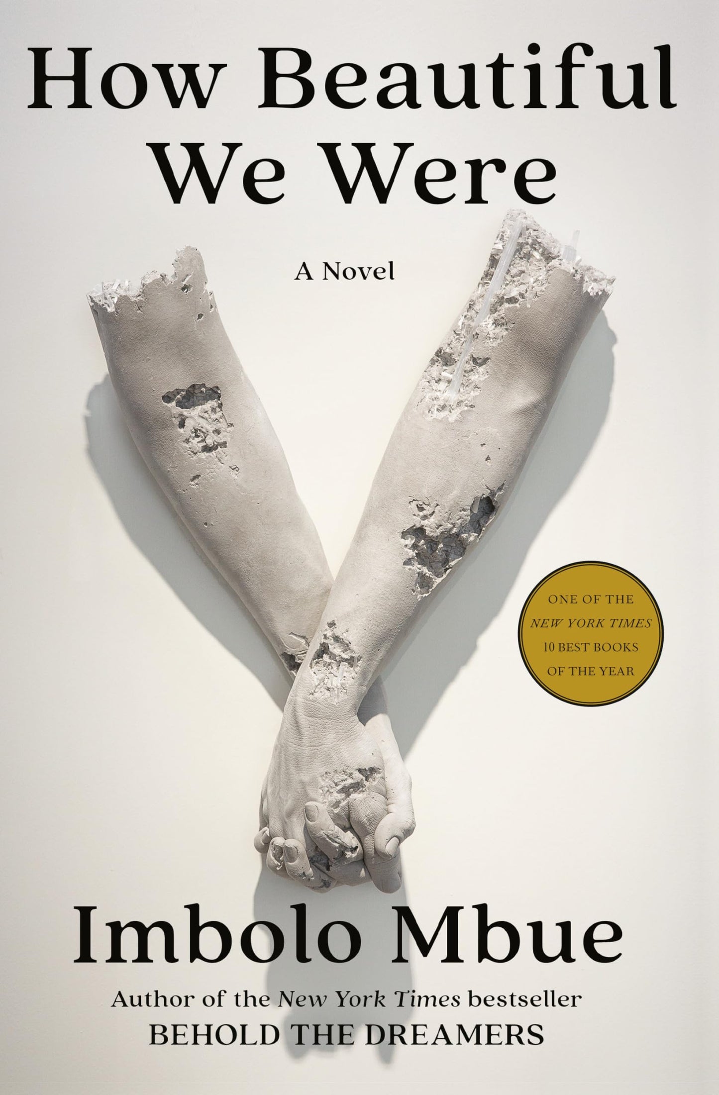How Beautiful We Were book cover