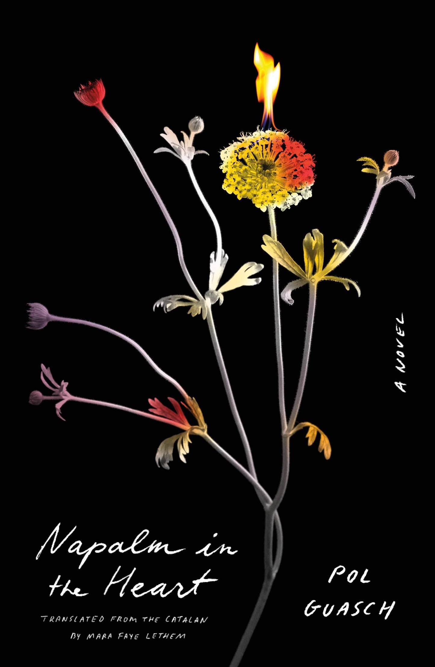 Napalm in the Heart book cover