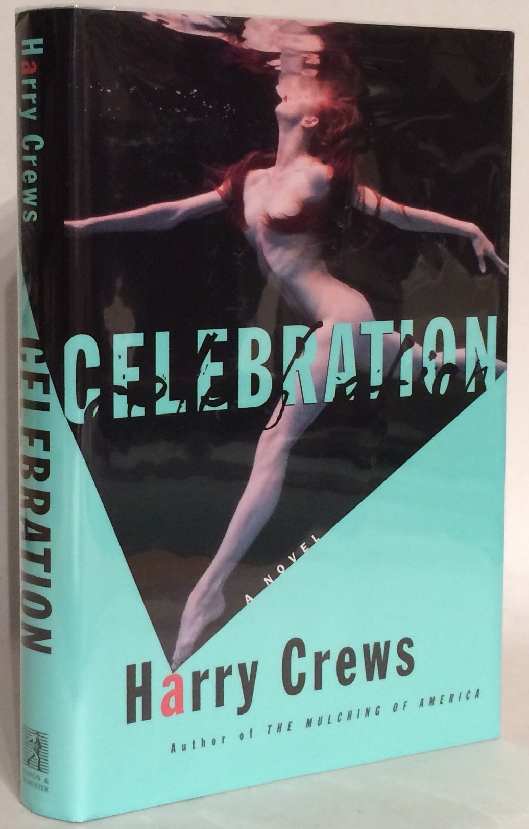 Celebration book cover