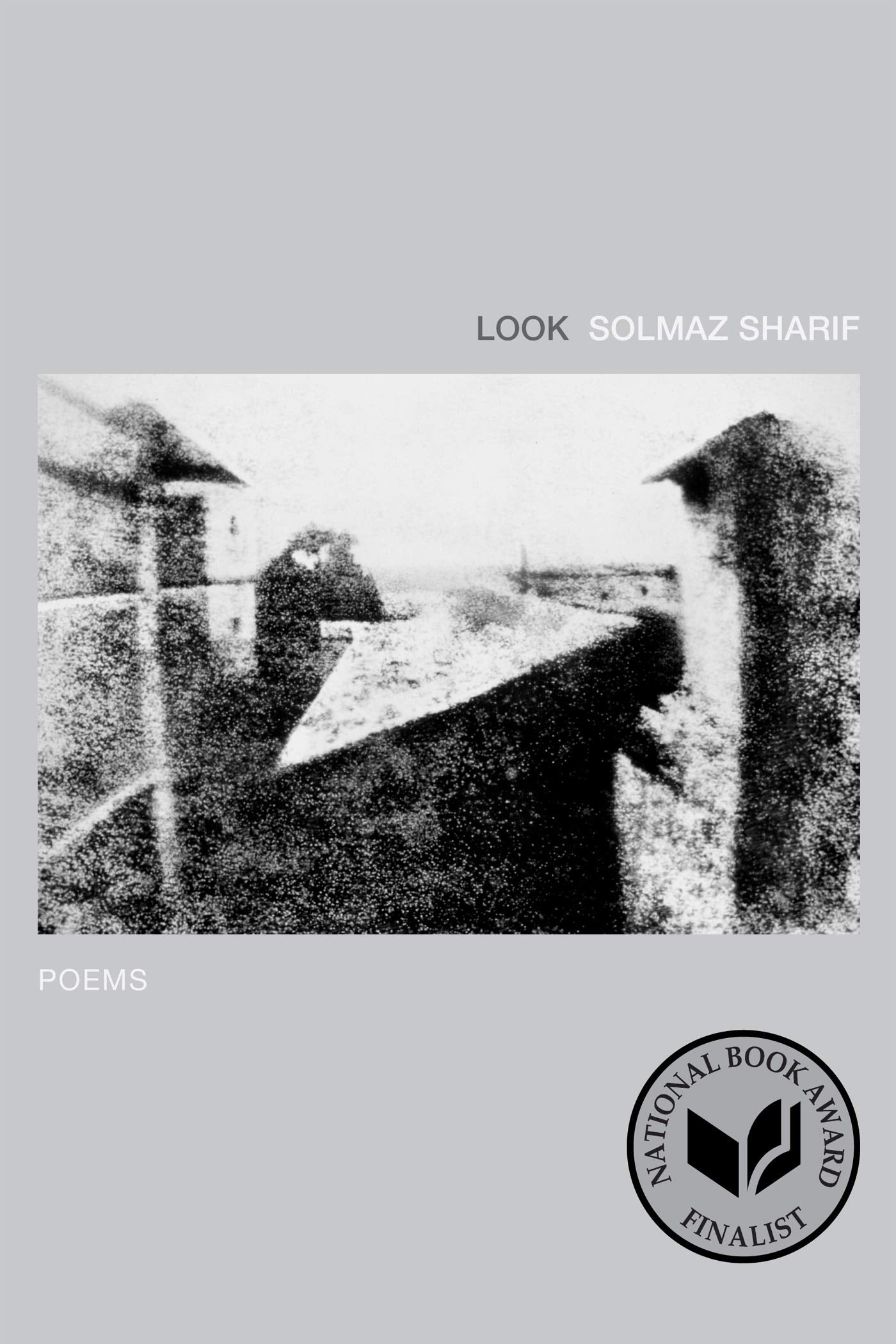 Look: Poems book cover