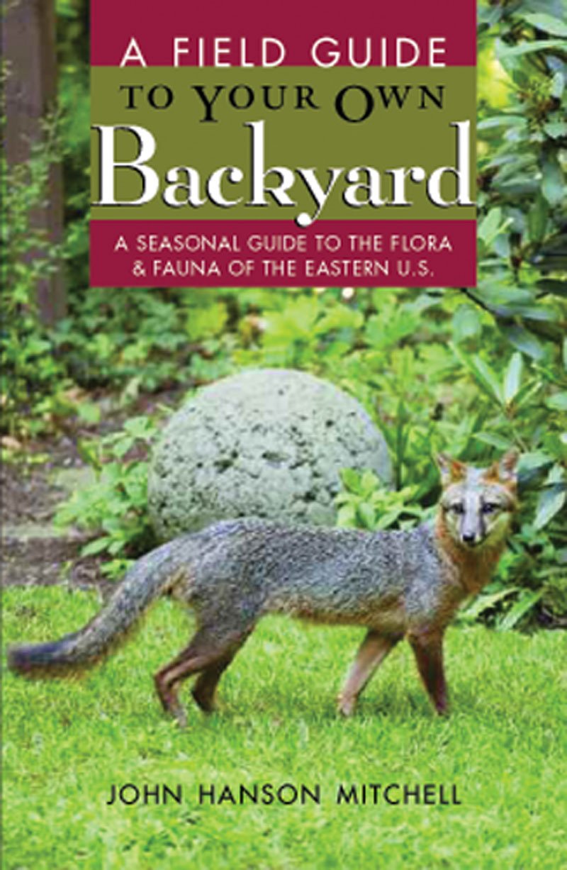 Field Guide to Your Own Back Yard: A Seasonal Guide to the Flora & Fauna of the Eastern U.S. book cover