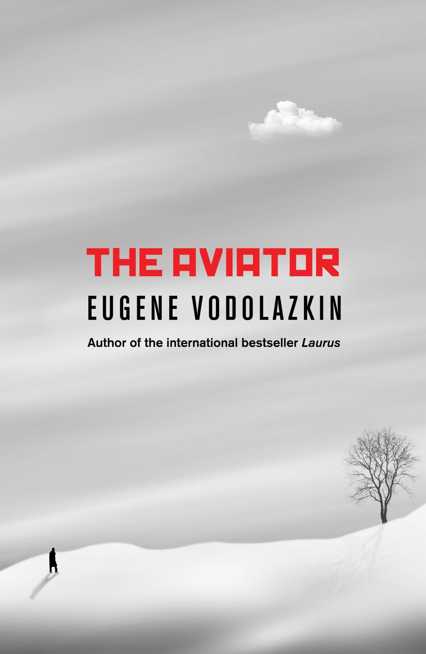 Aviator: From the Award-Winning Author of Laurus book cover