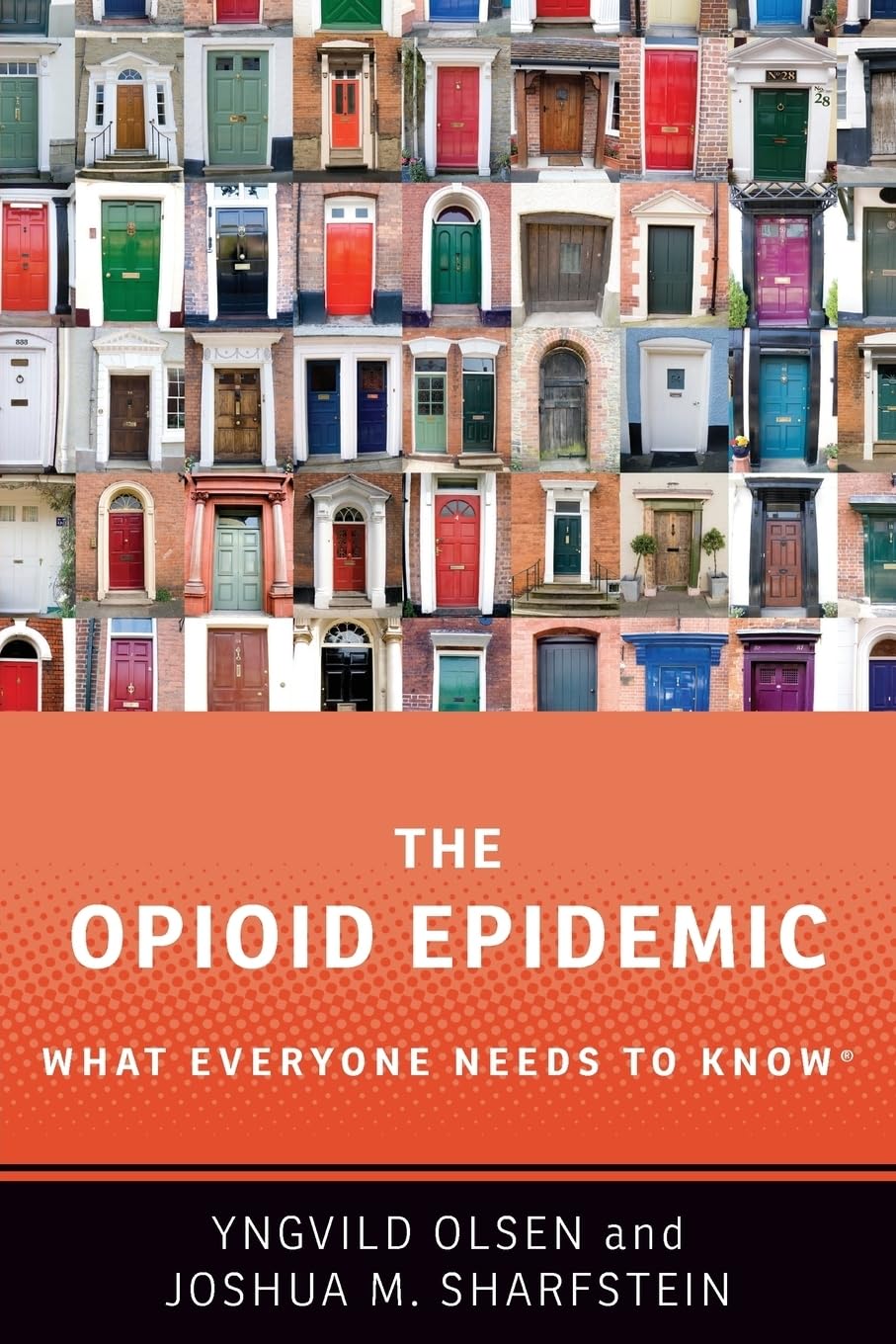 Opioid Epidemic: What Everyone Needs to Know book cover