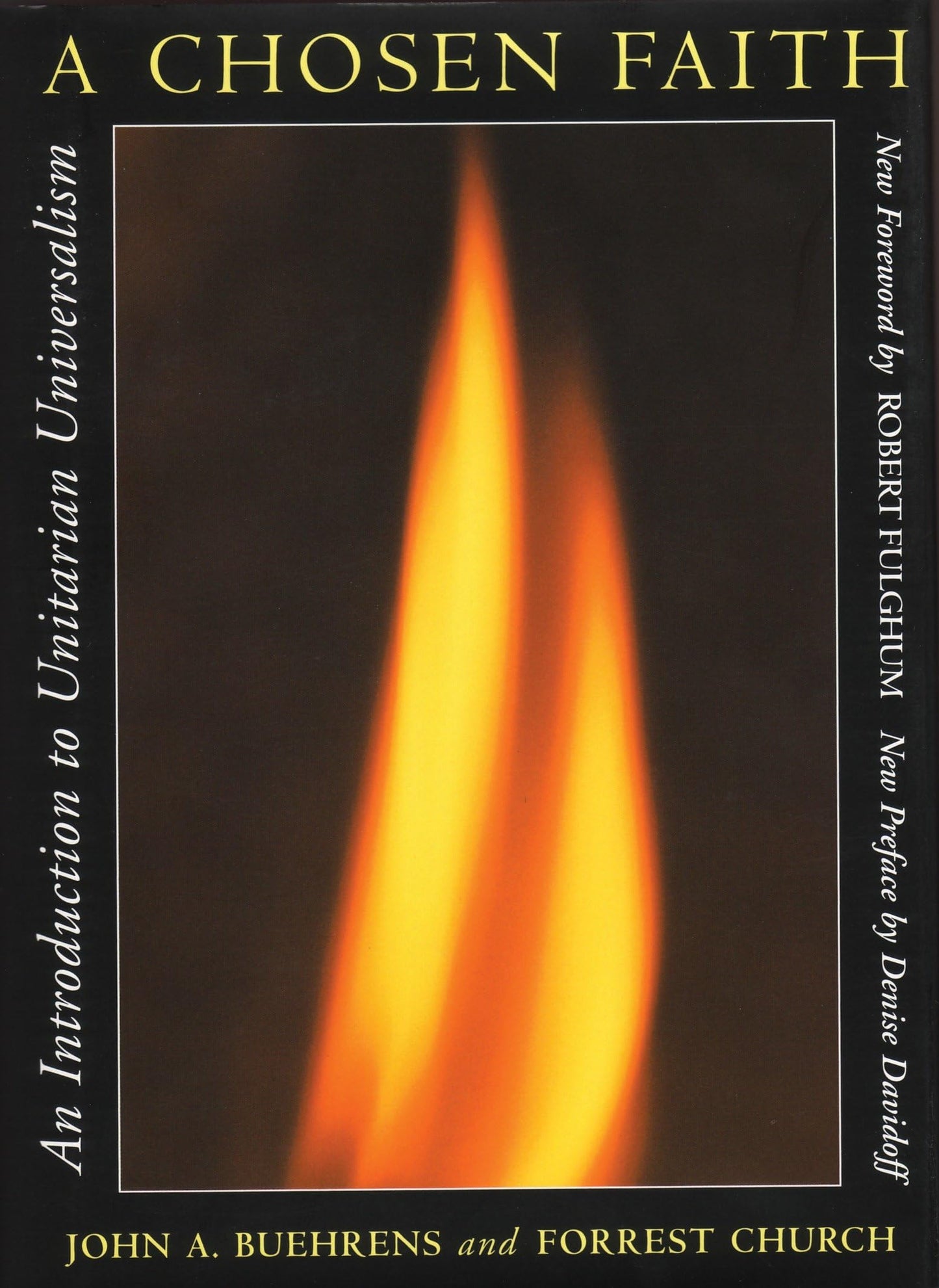 Chosen Faith: An Introduction to Unitarian Universalism (REV) book cover