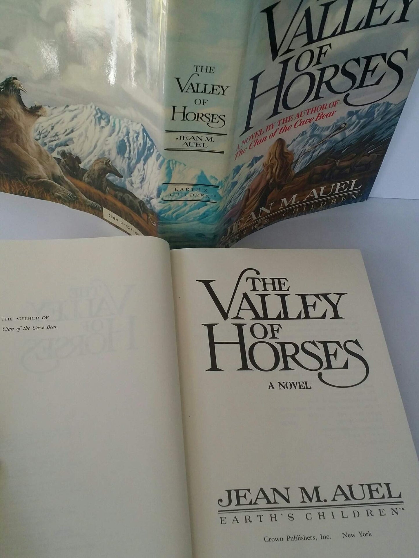 Valley of Horses book cover