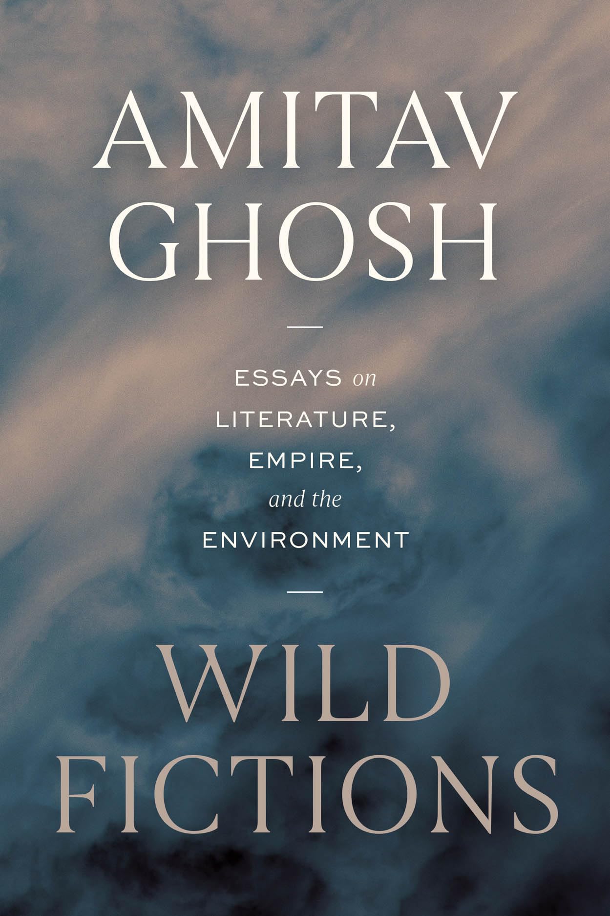 Wild Fictions book cover