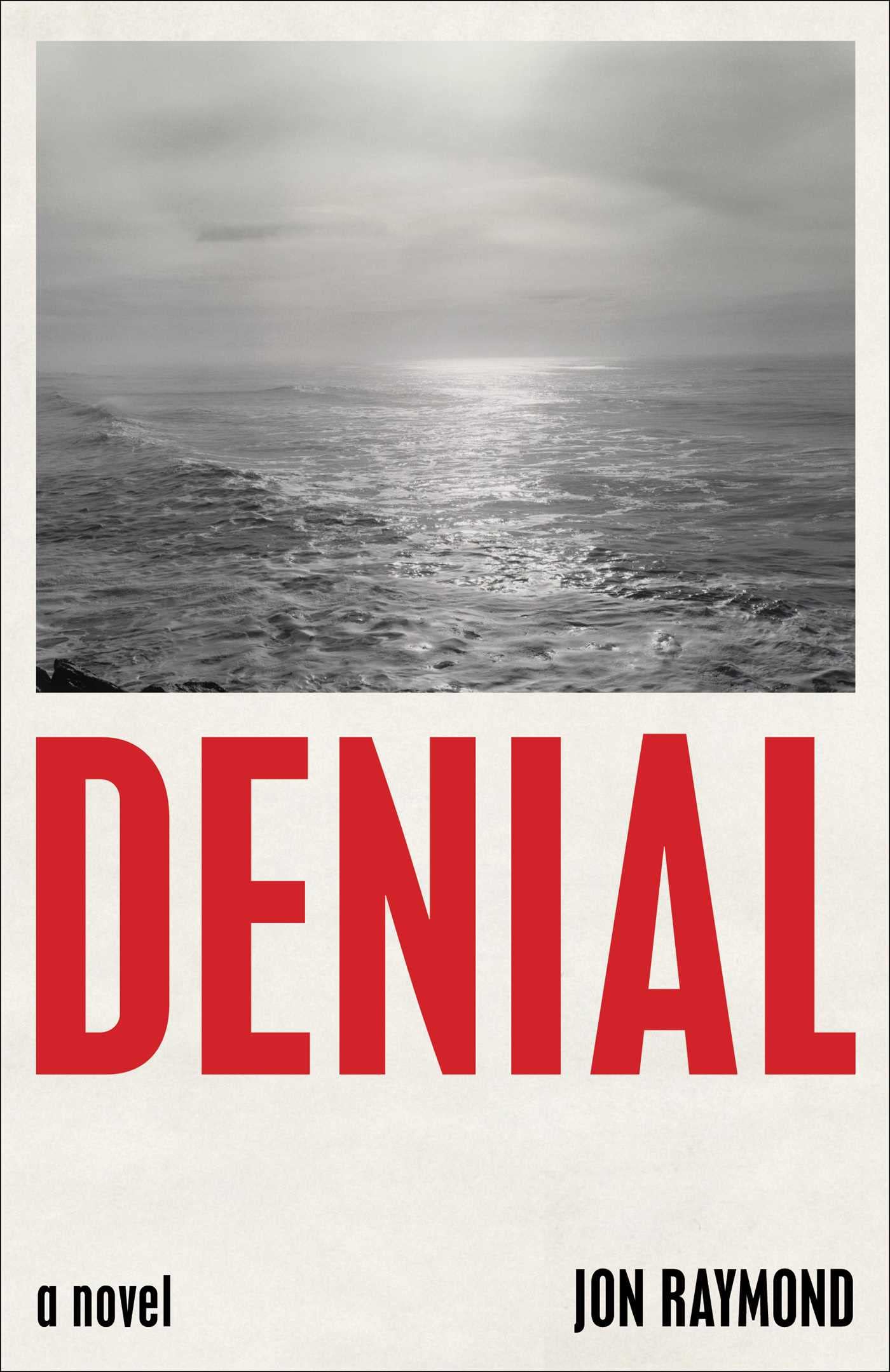 Denial book cover