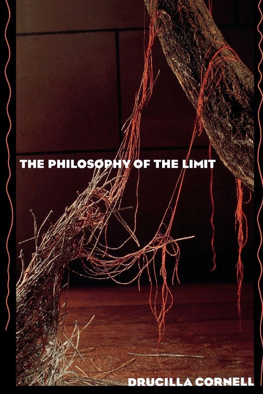 Philosophy of the Limit book cover