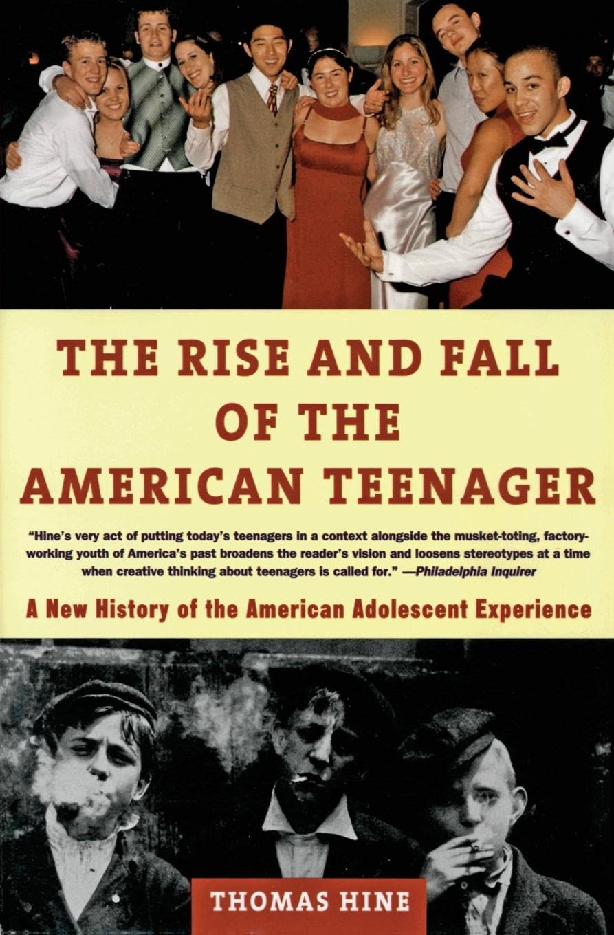 Rise and Fall of the American Teenager book cover