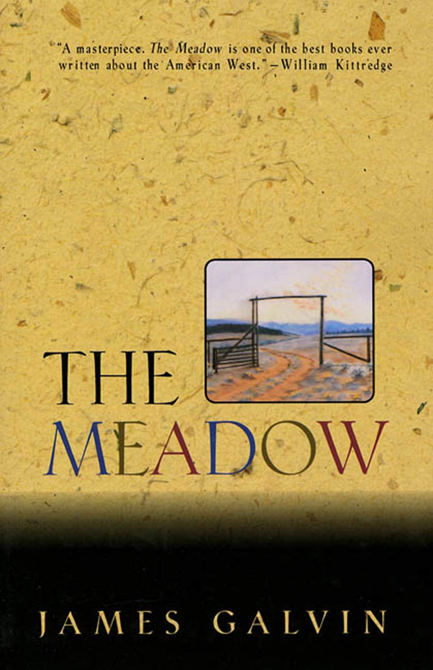 Meadow book cover