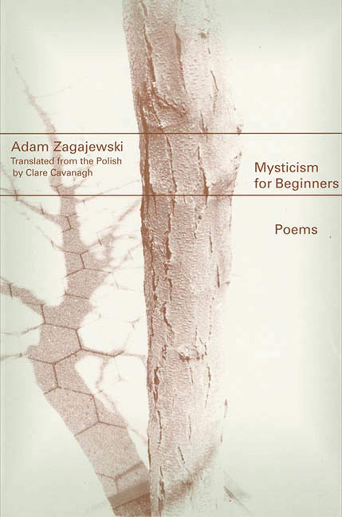 Mysticism for Beginners: Poems book cover