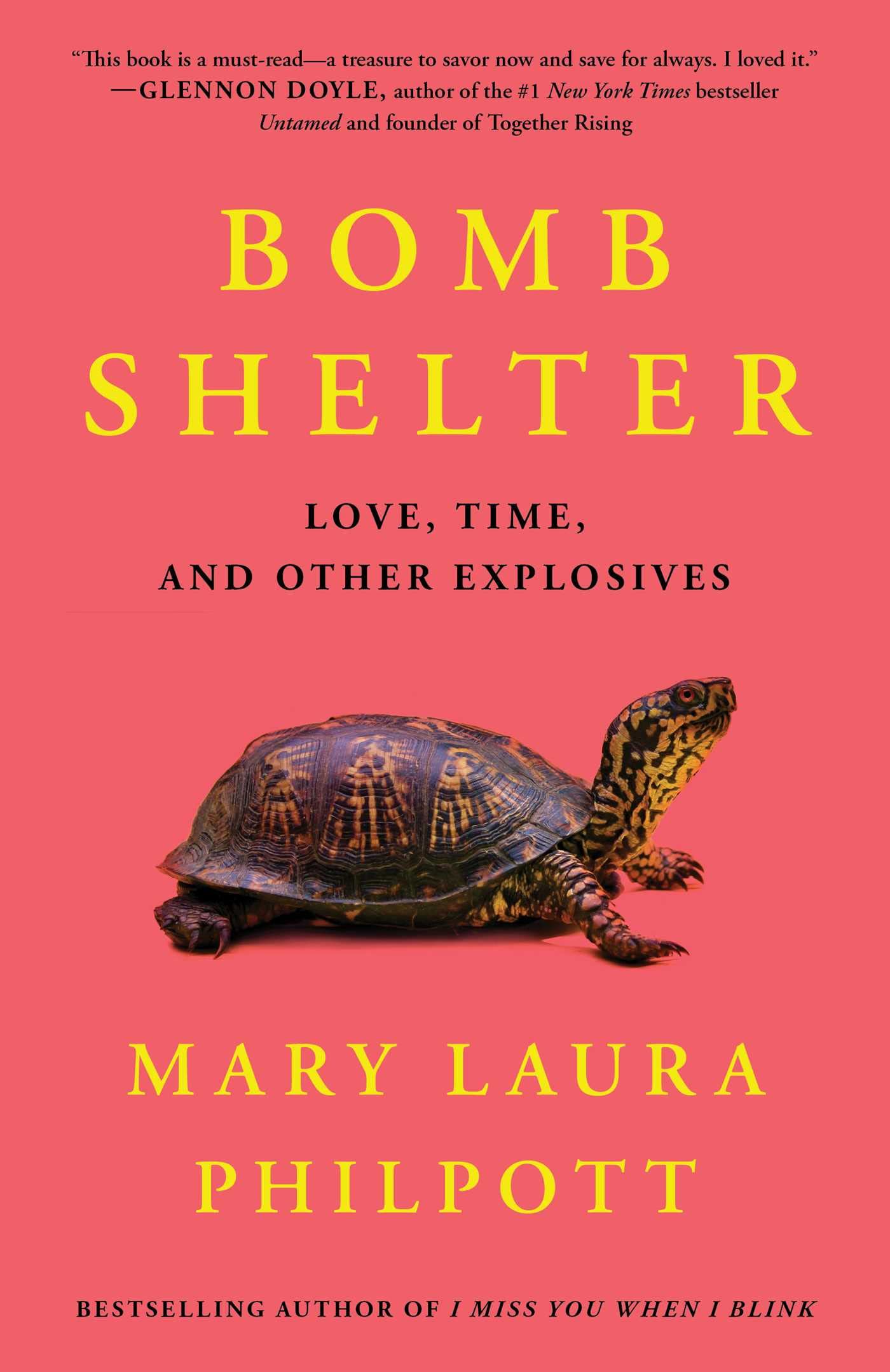 Bomb Shelter: Love, Time, and Other Explosives book cover