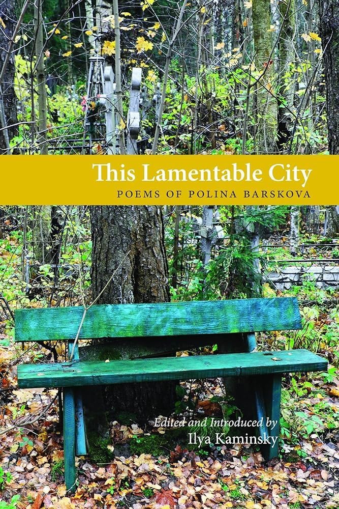 This Lamentable City book cover