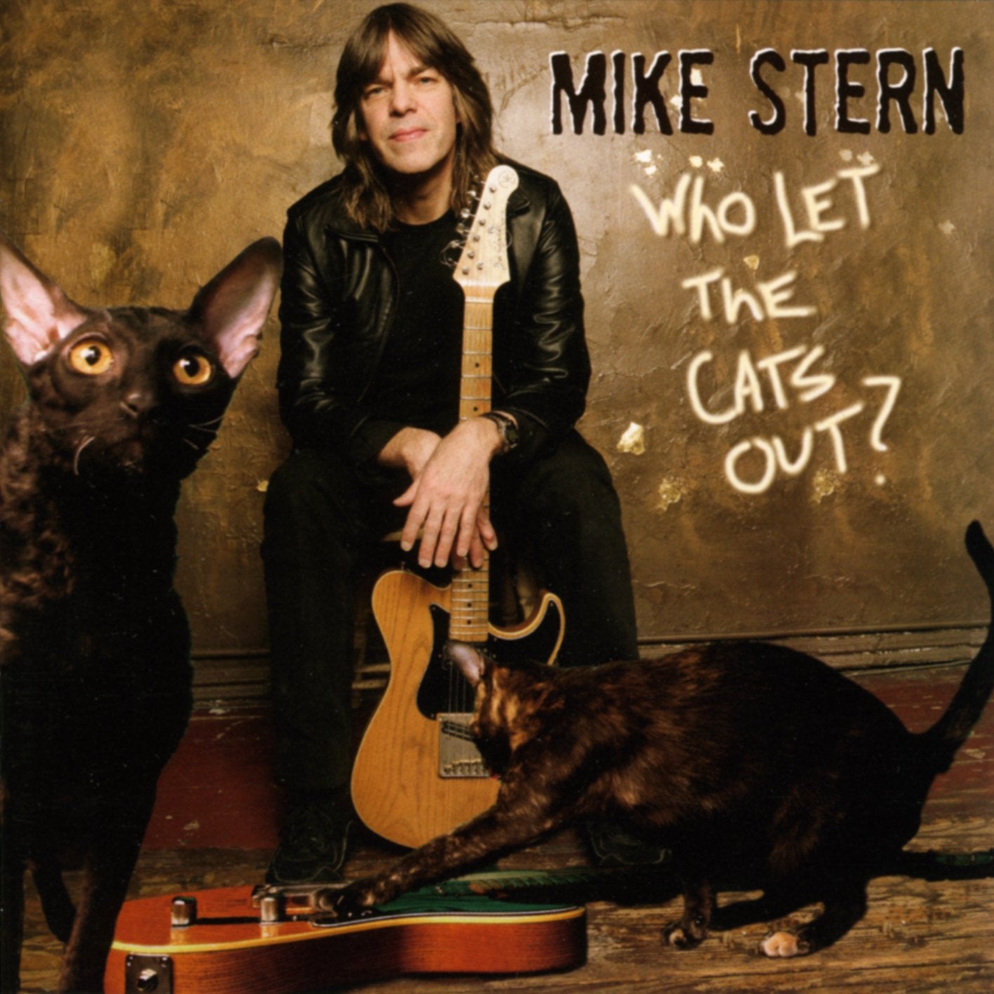 Who Let the Cats Out book cover