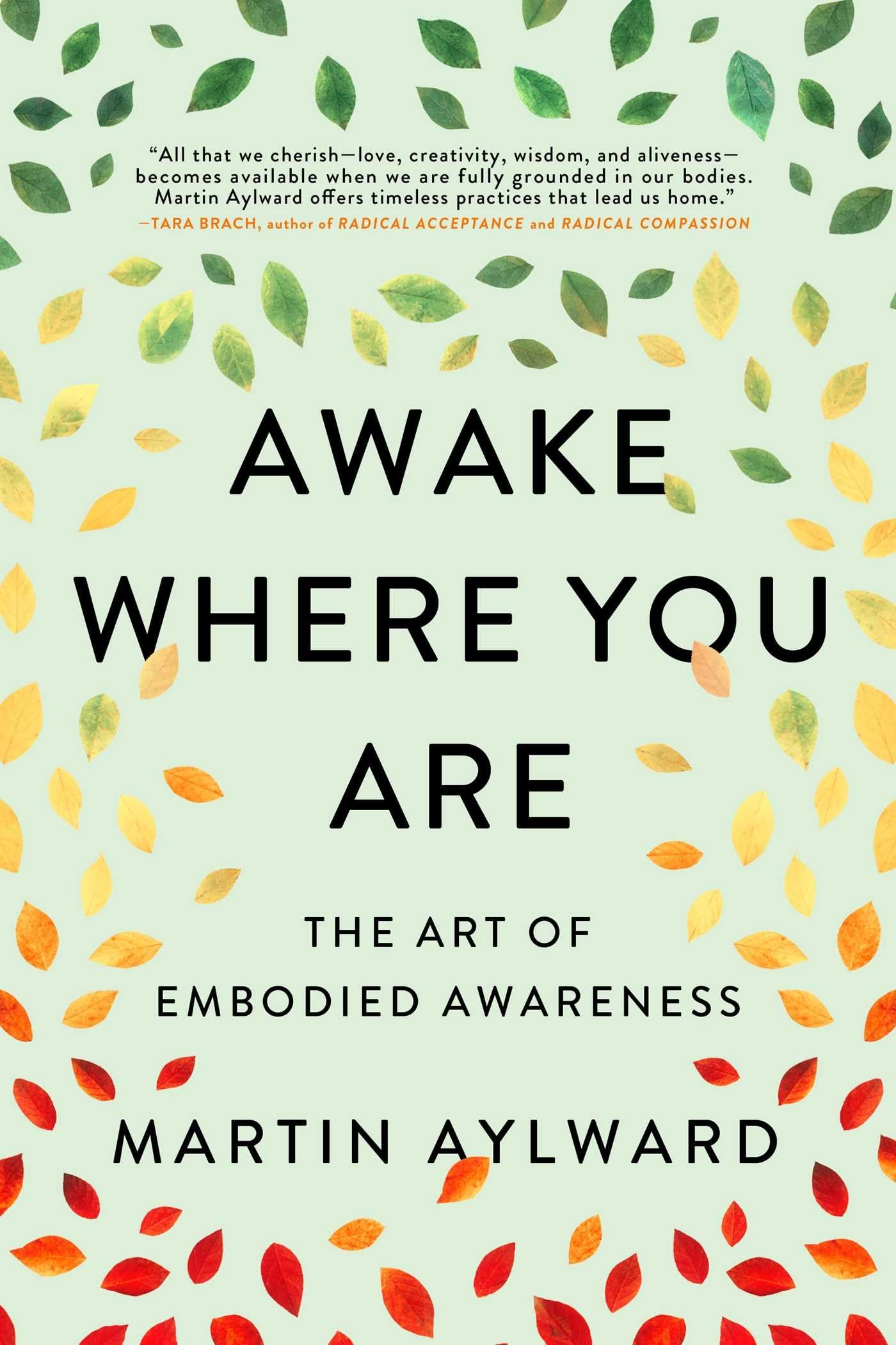 Awake Where You Are: The Art of Embodied Awareness