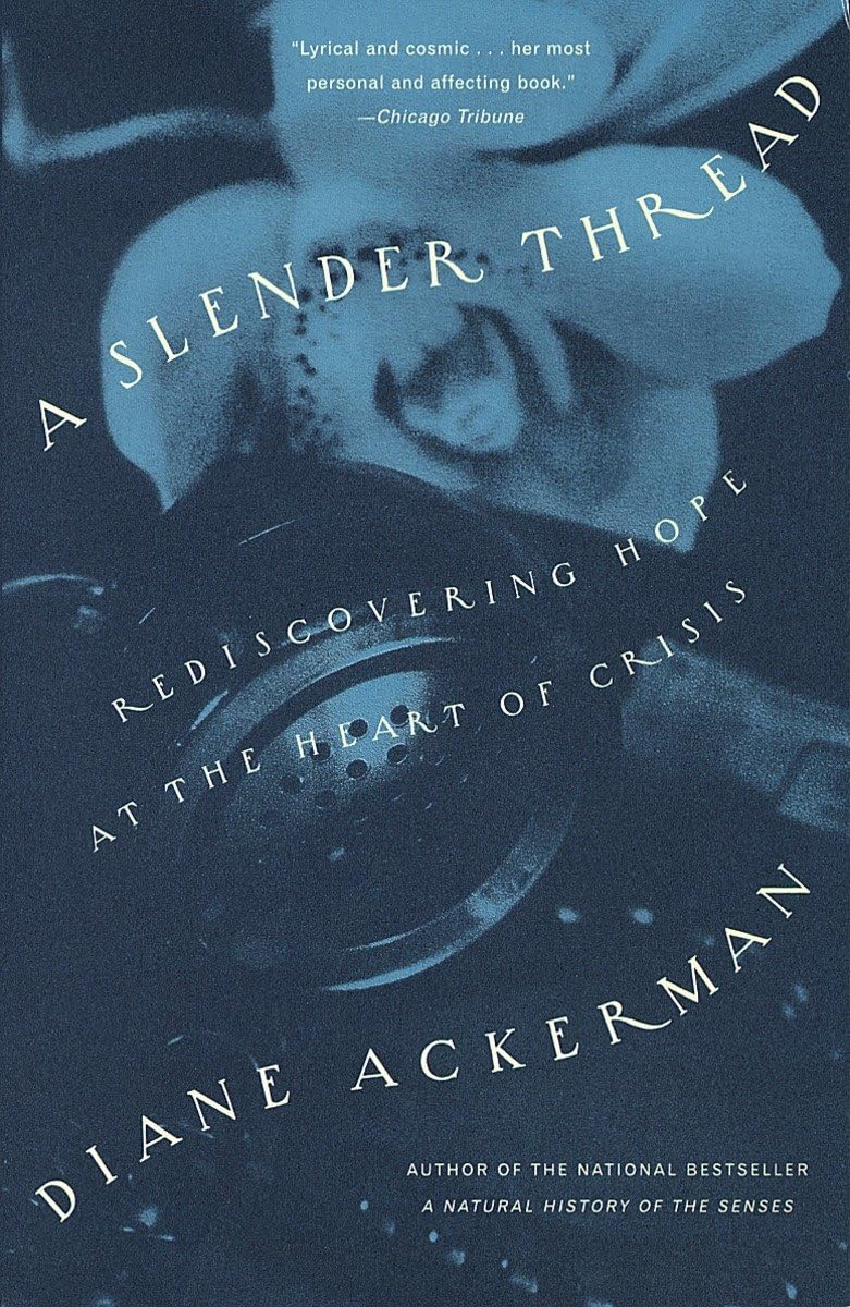 Slender Thread: Rediscovering Hope at the Heart of Crisis book cover