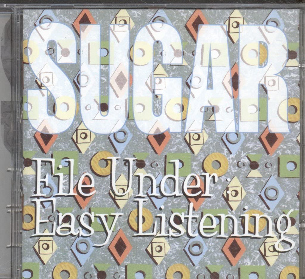 File Under: Easy Listening book cover