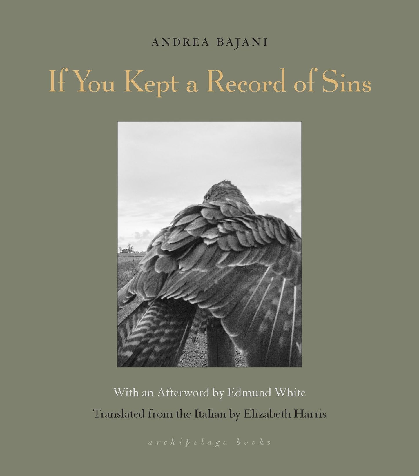 If You Kept a Record of Sins book cover