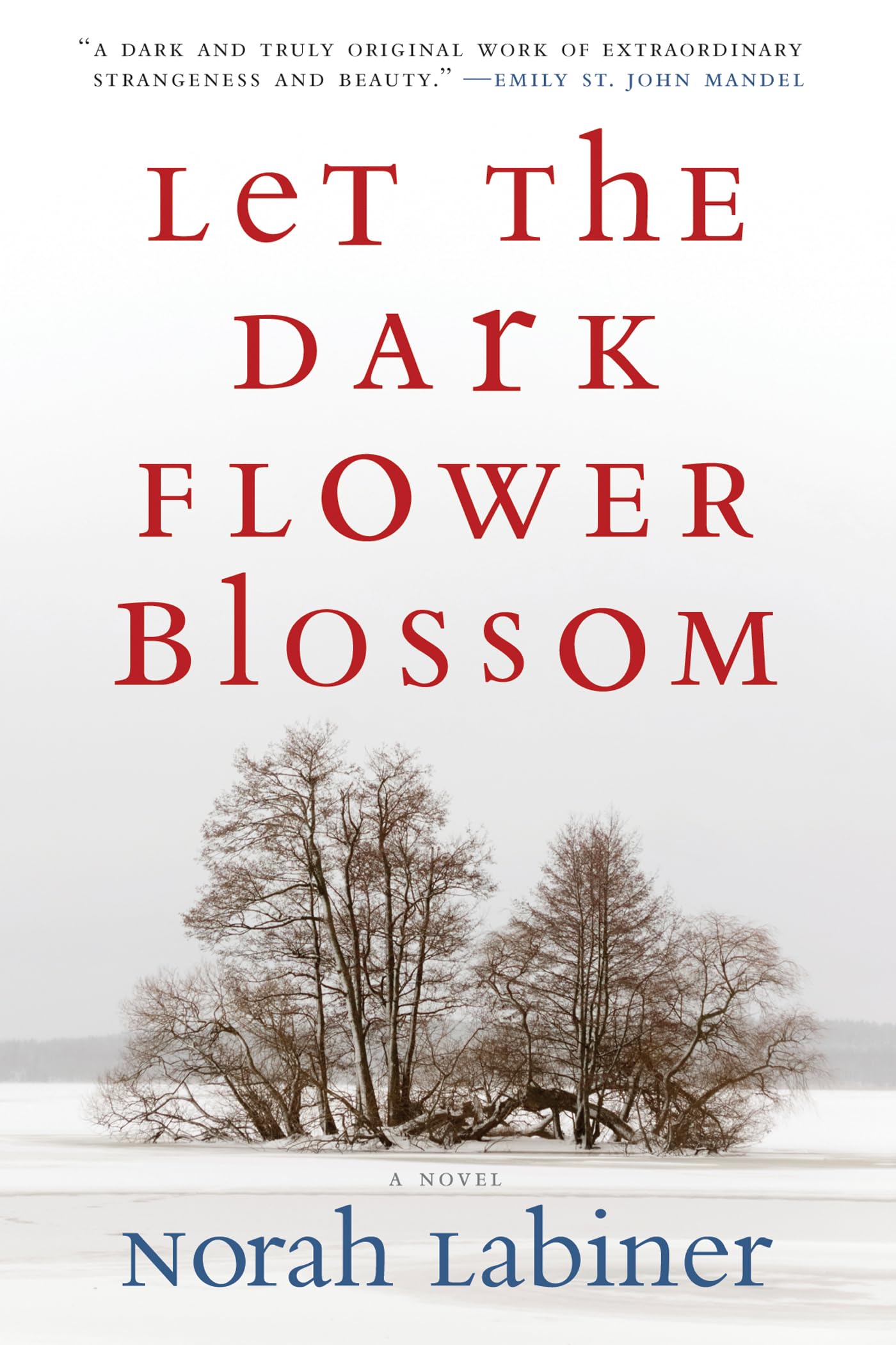 Let the Dark Flower Blossom book cover