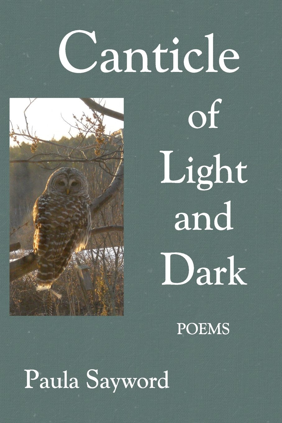 Canticle of Light and Dark book cover