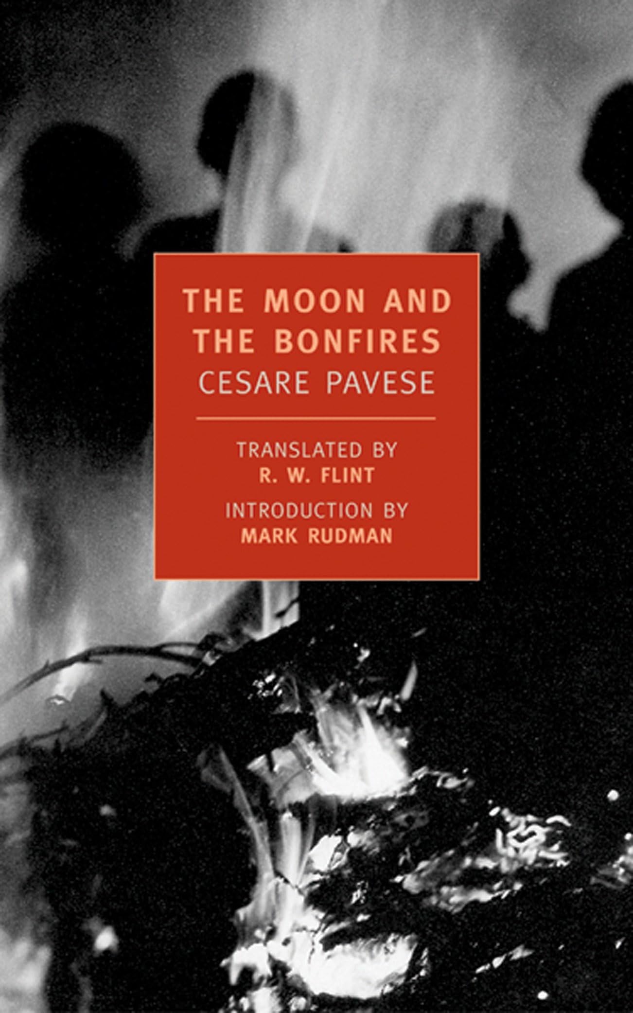Moon and the Bonfires book cover