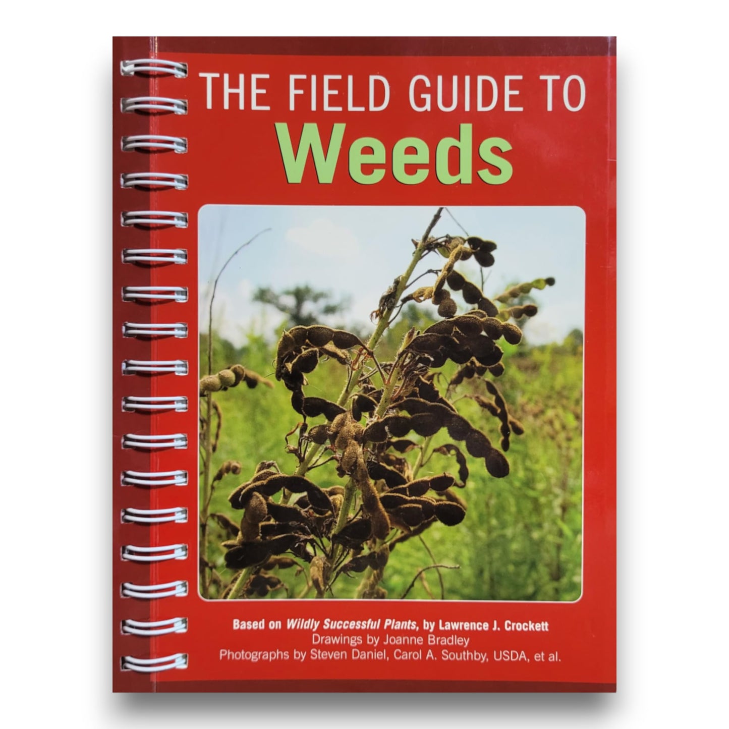 Field Guide to Weeds book cover